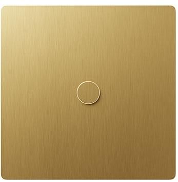 Brushed Brass